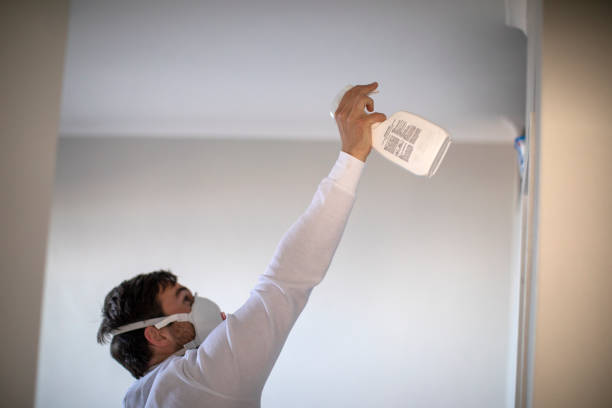 Best Mold Inspection  in Sulphur, OK